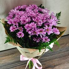 Букет цветов из:  Хризантемы #REPLACE_PRED# Макариху