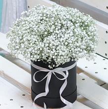 Цветочная композиция из Гипсофила в шляпной коробке #REPLACE_PRED# Макариху